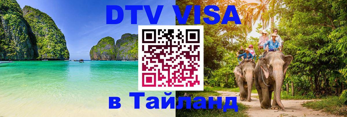 Оформление DTV визы под ключ: стоимость и тарифы, только загранпаспорт - 18.11.2025 